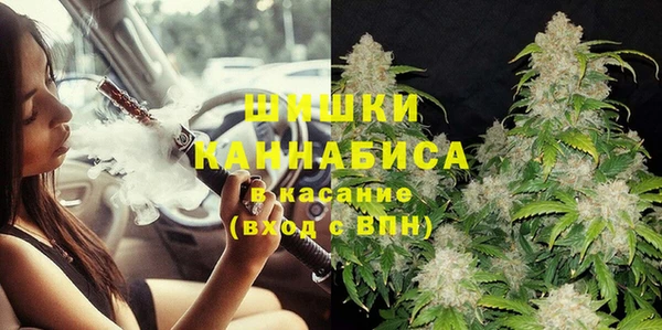 прущие грибы Белокуриха