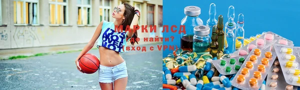амф Каменка