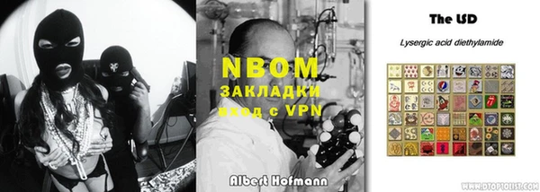 прущие грибы Белокуриха