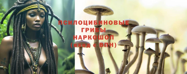 гидропоника Каменск-Шахтинский