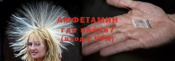 прущие грибы Белокуриха