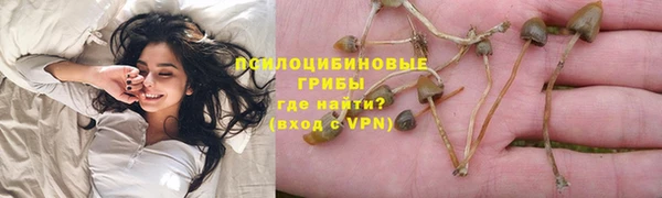 прущие крисы Беломорск