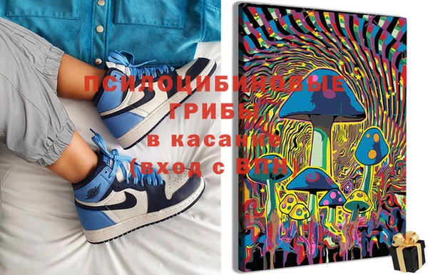 прущие грибы Белокуриха