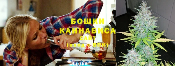 прущие грибы Белокуриха